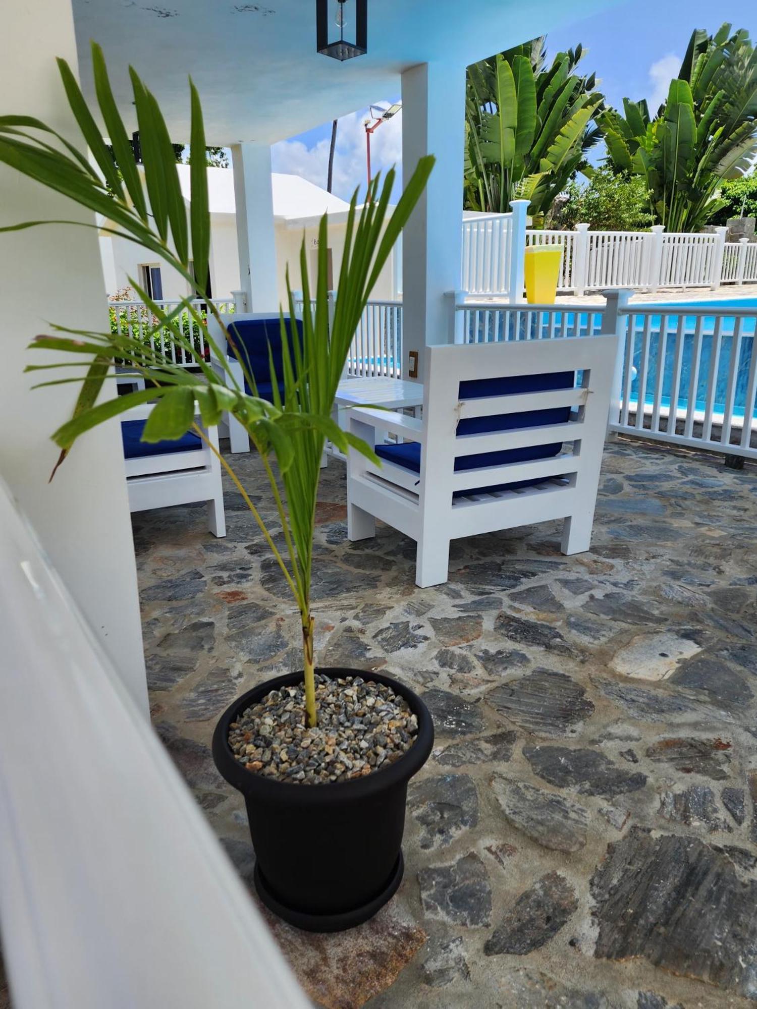 Bella Villa Room With Large Pool And Close To Beach Las Galeras Dış mekan fotoğraf